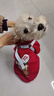 萌嘟星寵 狗狗衣服貓咪小狗小貓泰迪比熊小型犬幼犬新年保暖服飾秋冬裝L號 曬單實(shí)拍圖