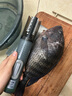 三個(gè)小廚電動(dòng)刮魚(yú)鱗神器刨刮鱗器打魚(yú)鱗器防水全自動(dòng)無(wú)線(xiàn)刮魚(yú)鱗機家用商用 曬單實(shí)拍圖