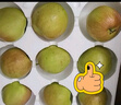 隰縣玉露香梨 【順豐現貨】整箱香梨當季水果山西隰縣小西天特產(chǎn) 孕婦水果送禮 9粒大果（凈重5-6斤）單果80+mm 曬單實(shí)拍圖