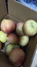 正宗煙臺蘋(píng)果棲霞紅富士脆甜新鮮水果整箱生鮮蘋(píng)果水果 凈重4.5斤75mm 曬單實(shí)拍圖