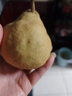 京鮮生 山東煙臺中華丑梨 凈重4.5斤 6-9粒 生鮮水果 源頭直發(fā) 曬單實(shí)拍圖