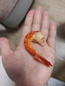 北海印象 特大烤蝦干九節蝦干即食竹節蝦干水產(chǎn)干貨精品對蝦干海鮮 大號500g(250g*2袋約60只7-9cm) 曬單實(shí)拍圖