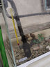 森森魚(yú)缸外置過(guò)濾桶配件進(jìn)出水管件帶雨淋管進(jìn)水罩子適合用HW-3-4-5-7系列過(guò)濾桶用 可接水管口徑16MM不帶除油膜 曬單實(shí)拍圖