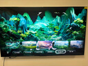 創(chuàng  )維電視85A6F Pro 85英寸智能平板電視機2880分區QD-Mini LED 回音壁液晶游戲 85吋國家補貼20% A6E+ 曬單實(shí)拍圖