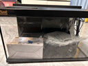 森森金麟超白玻璃魚(yú)缸客廳小型懶人魚(yú)缸LE-480B+增氧泵套餐 曬單實(shí)拍圖