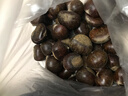 燕栗翁正宗遷西板栗河北特產(chǎn)即食生栗子5斤新鮮油栗子新貨遷西直發(fā) 燕翁精品大粒5斤（每斤60顆左右） 曬單實(shí)拍圖