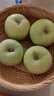 京地達新疆阿克蘇王林蘋(píng)果青蘋(píng)果 凈重8斤單果180g新鮮應季源頭直發(fā)包郵 曬單實(shí)拍圖