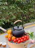 貞喜氣鑄鐵壺過(guò)濾茶壺圍爐煮茶壺大容量家用泡茶器燒水壺戶(hù)外明火適用 手提鐵壺+不銹鋼濾網(wǎng) 900ml 曬單實(shí)拍圖