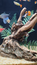 米家智能桌面魚(yú)缸+畫(huà)法幾何仿蕨類(lèi)沉木造景套餐 曬單實(shí)拍圖