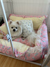 曼樂(lè )兔狗窩四季通用可拆洗小型犬狗狗床狗安全感窩睡覺(jué)的窩寵物狗狗睡窩 Deep深睡系列丨丨秘密花園L碼（65*50*27cm）含枕頭 四季通用/深睡好眠 曬單實(shí)拍圖