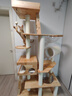 獸牌美居實(shí)木貓爬架大型貓樹(shù)貓窩一體豪華不占地貓架超高不晃大貓適用 美居CC S丨雙太空艙新款 曬單實(shí)拍圖