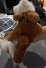 阿莫爾貓咪衣服加厚秋冬裝保暖棉衣泰迪比熊雪納瑞小型犬狗狗寵物四腳衣 咖色變身裝 M(建議5-8斤具體參考胸圍背長(cháng)） 曬單實(shí)拍圖