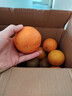 果陸園四川愛(ài)媛38號果凍橙 當季柑橘桔子新鮮當季水果柑橘桔子時(shí)令 整箱4-4.5斤 果徑70-80MM 凈3.5斤 曬單實(shí)拍圖