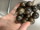 古木匠沉水級天然芽莊白奇楠沉香手串男士高端黑油老料棋楠沉香木手鏈女 【九分沉 】20mm 天然奇楠沉香 曬單實(shí)拍圖