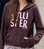 HOLLISTER小海鷗圖案25秋冬新款抓絨連帽衛衣外套女裝352-5273 棕色 M (165/88A) 曬單實(shí)拍圖