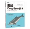 圖解大模型+圖解DeepSeek技術(shù) 京東套裝2冊 圖靈出品 曬單實(shí)拍圖
