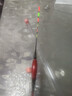 小鳳仙夜光漂咬鉤變色錘頭尾夜釣魚(yú)漂高靈敏電子漂野釣加粗醒目近視漂 曬單實(shí)拍圖