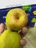 迎畔新疆庫爾勒香梨全母梨 脆甜小香梨新鮮水果整箱禮盒裝 5斤精品混裝梨 單果80-100g 曬單實(shí)拍圖