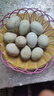 鴨蛋新鮮生鴨蛋60-70g土鴨蛋農家散養青皮白皮生鮮食品超市批發(fā) 10枚 曬單實(shí)拍圖