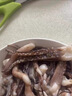 新鮮魷魚(yú)須現切速凍燒烤食材二本足魷魚(yú)腿八爪魚(yú)海鮮整箱包郵 鮮凍魷魚(yú)須1袋 400g(凈重)  八兩 曬單實(shí)拍圖