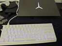 邁從（MCHOSE）Ace 68/60Pro磁軸鍵盤(pán) RT電競游戲客制化機械有線(xiàn)連接全鍵熱插拔雙驅動(dòng)無(wú)畏契約 Ace 68 電競版 白等高線(xiàn) 冰犀磁軸 曬單實(shí)拍圖