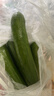京鮮生 山東水果嫩黃瓜 凈重5斤 單根68g+ 小青瓜生吃水果瓜 源頭直發(fā) 曬單實(shí)拍圖