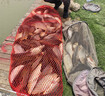 上好佰福特上好佰福特野桑川-極二代釣魚竿超輕黑坑暴力飛抄競技臺釣竿飛磕 3.9m 13H 野桑川極二代 曬單實拍圖
