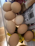 楊博士 皖南散養土雞蛋50枚 凈重4.5斤 新鮮溏心蛋柴雞蛋禮盒裝源頭直發(fā) 曬單實(shí)拍圖