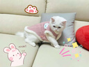 OIMG貓咪衣服保暖秋冬季小貓衣服保暖背心外套寵物狗狗小貓幼貓防掉毛 粉色兔子毛絨背心 M：胸圍42CM【建議5-8斤】 曬單實(shí)拍圖