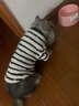 曇蓓漫德文貓衣服貓咪衣服無(wú)毛貓衣服德文衣服保暖阿比西尼亞貓衣服加厚 貓咪衣服冬季（黑白條紋） M碼（建議6-9斤） 曬單實(shí)拍圖