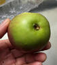 南步正宗東北國光小蘋(píng)果 遼寧特產(chǎn)五蓮國光老品種笨蘋(píng)果新鮮孕婦水果 5斤 精選小果【約24個(gè)】 曬單實(shí)拍圖