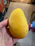 譯優(yōu)農海南小臺農芒果 小臺芒臺農一號爆甜核薄無(wú)絲 當季新鮮水果 毛重9.5-10斤精選大果【單果80g+】 曬單實(shí)拍圖