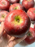 味果生甘肅天水花牛蘋(píng)果應季新鮮孕婦水果粉面沙甜寶寶輔食刮果泥紅蛇果 5斤中大果75-80mm凈重4.5斤 曬單實(shí)拍圖