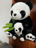 熊貓熊大熊貓毛絨玩具女孩熊貓玩偶娃娃公仔花花抱抱熊兒童畢業(yè)禮物男孩子布娃娃女生生日禮物女送女朋友同學(xué)陪睡覺(jué)抱枕仿真布偶小號創(chuàng  )意擺件30cm 曬單實(shí)拍圖