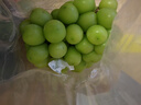 京鮮生 陽(yáng)光玫瑰葡萄 青提2-2.5斤裝 單果約10g 生鮮水果 曬單實(shí)拍圖