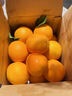 江西正宗贛南臍橙特大果新鮮水果現摘整箱10斤20斤應季水果甜橙子 10斤 80mm-90mm【精選大果】 曬單實(shí)拍圖