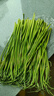 今年頭茬新鮮蒜苔生鮮超市品質(zhì)蒜薹蔬菜調料涼拌炒制即食蒜苔 2斤【新鮮蒜薹】 曬單實(shí)拍圖