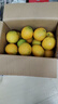 京鮮生 江西贛南臍橙 凈重4.5斤 單果150g+ 源頭直發(fā)包郵 曬單實(shí)拍圖