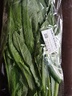 【24小時(shí)菜】油麥菜 300g 曬單實(shí)拍圖
