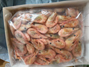 鮮京采 精選北極甜蝦 凈重3斤/盒 135-180只 解凍即食  曬單實(shí)拍圖