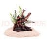 小米魚(yú)缸二代造景全套套餐專(zhuān)用米家魚(yú)缸造景仿真樹(shù)脂造景 蕨類(lèi)沉木造景帶底砂500g 曬單實(shí)拍圖