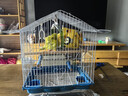 鸚鵡鳥(niǎo)籠新款小型牡丹虎皮繡眼珍珠鳥(niǎo)專(zhuān)用鳥(niǎo)籠子家用大號豪華別墅 珍珠白（長(cháng)30*寬22*高38cm）【贈五件套】 曬單實(shí)拍圖