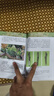廣西荔枝栽培新技術(shù) 荔枝種植技術(shù)大全書(shū)籍 荔枝育苗施肥技術(shù)病蟲(chóng)害防治指導書(shū) 荔枝控冬梢促花花穗調控保果技術(shù) 荔枝整形修剪高接換種技術(shù) 熱帶水果種植農技推參考書(shū) 中國農業(yè)科學(xué)技術(shù)出版社 曬單實(shí)拍圖