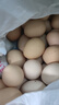 九華山農家鮮雞蛋竹林蟲(chóng)草蛋柴雞蛋50g正負5g早餐溏心蛋買(mǎi)菜 20枚 曬單實(shí)拍圖