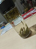 福茗源綠茶 安吉白葉一號珍稀白茶 明前2025新茶葉禮盒250g茶葉自己喝 曬單實(shí)拍圖
