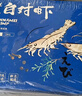 萬(wàn)景 北海鮮凍白蝦 國產(chǎn)白蝦 單凍無(wú)冰凈重4斤 100-120只 家庭聚餐  曬單實(shí)拍圖