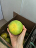 京鮮生 福建青皮翡翠葡萄柚 8斤裝 單果300g起 生鮮水果 源頭直發(fā) 包郵 曬單實(shí)拍圖