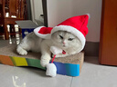 寵物圣誕裝狗狗 萬(wàn)圣節衣服中小型犬圣誕帽 貓咪搞怪可愛(ài)服飾 圣誕立體套裝 XS 曬單實(shí)拍圖