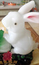 玉兔招財擺生肖兔白菜客廳酒柜電視柜裝飾擺設喬遷新房吉祥物禮物 中玉兔招財 曬單實(shí)拍圖