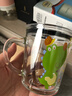 舒齊兒童牛奶杯學(xué)飲杯家用寶寶沖泡奶粉杯帶刻度杯吸管帶把玻璃水杯 曬單實(shí)拍圖